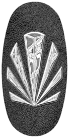 DASOV 602 SL SH BK Silver Sunburst Shimmer Black Background